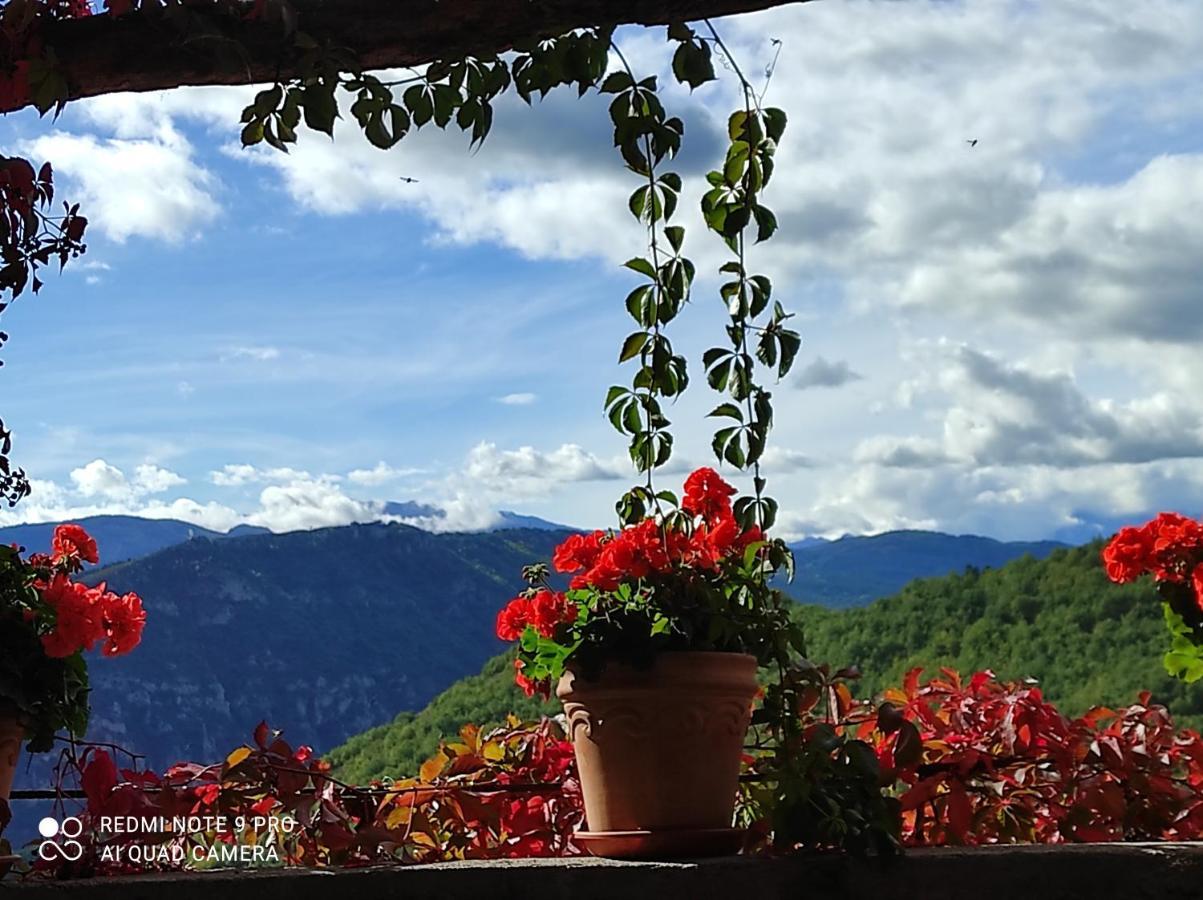 Casa Rural Vilaspasa, Alquiler Integro Gotarta エクステリア 写真