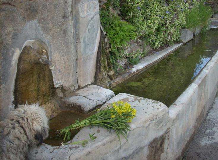 Casa Rural Vilaspasa, Alquiler Integro Gotarta エクステリア 写真